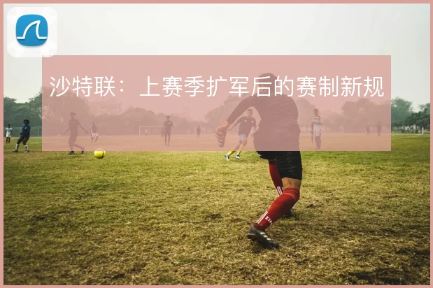 沙特联：上赛季扩军后的赛制新规